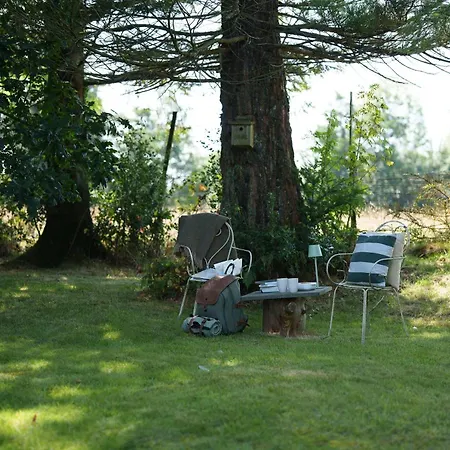 Stylish Country Nr Ambleside By Letmestay Holiday home *